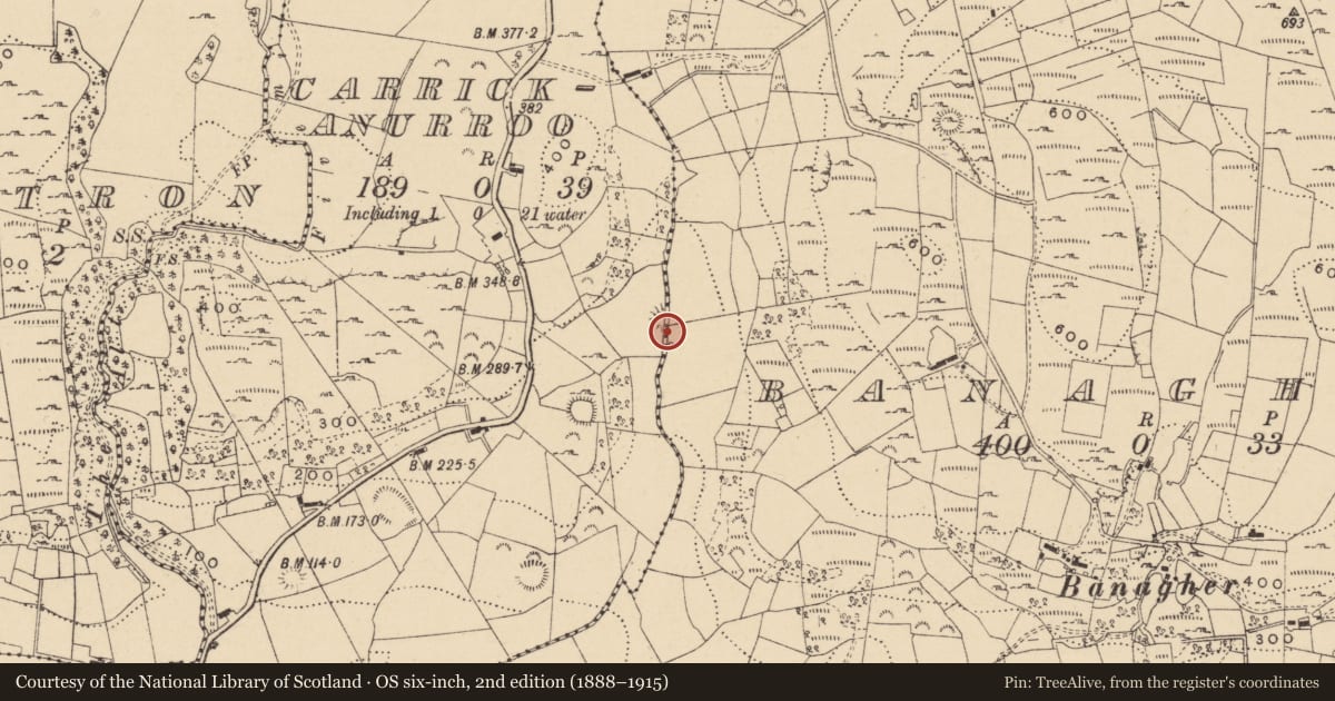 Ordnance Survey six-inch map, 2nd edition (1888–1915) covering the location of Enclosure, Carrickanurroo, County Leitrim, with a pin at the register's coordinates