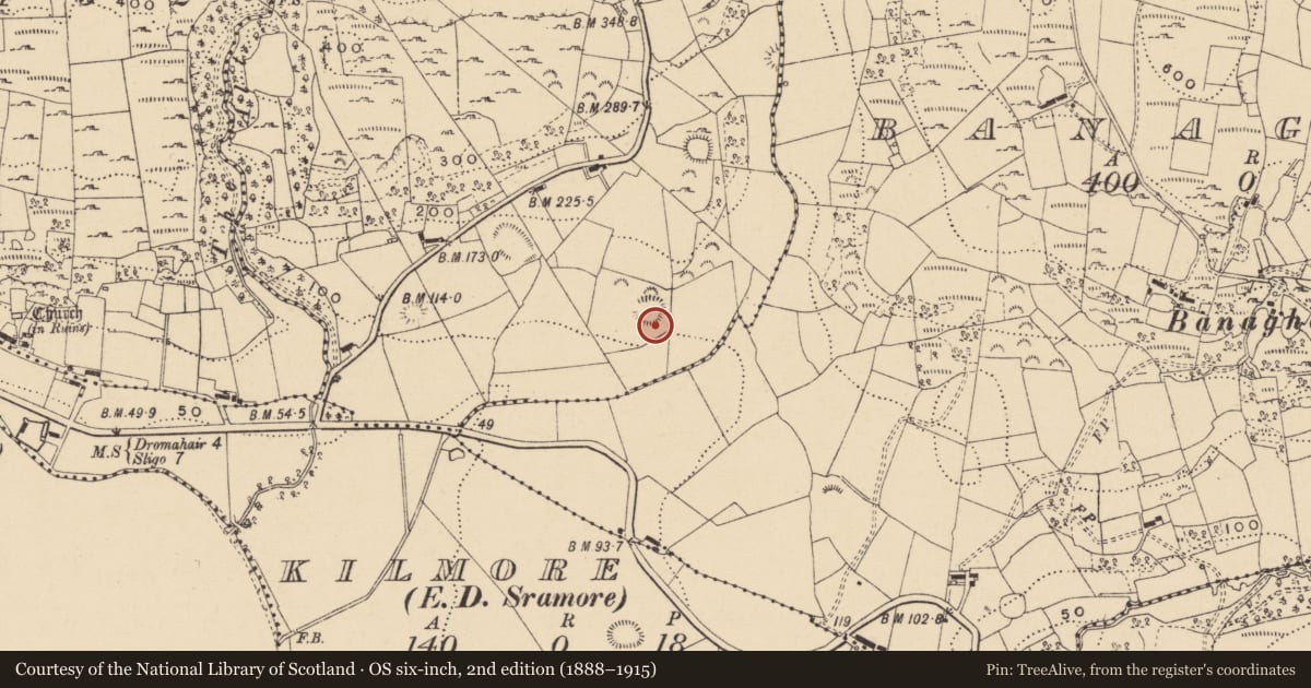 Ordnance Survey six-inch map, 2nd edition (1888–1915) covering the location of Ringfort - cashel, Carrickanurroo, County Leitrim, with a pin at the register's coordinates