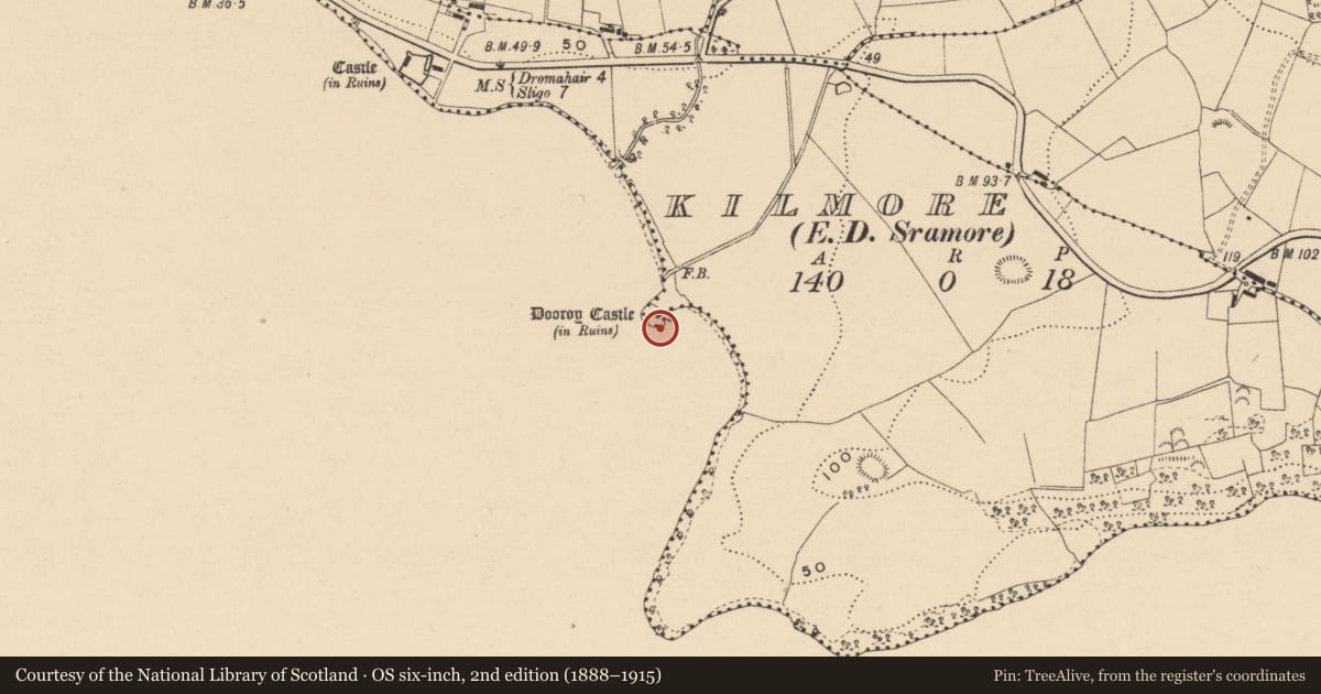 Ordnance Survey six-inch map, 2nd edition (1888–1915) covering the location of Castle - tower house, Kilmore, County Leitrim, with a pin at the register's coordinates