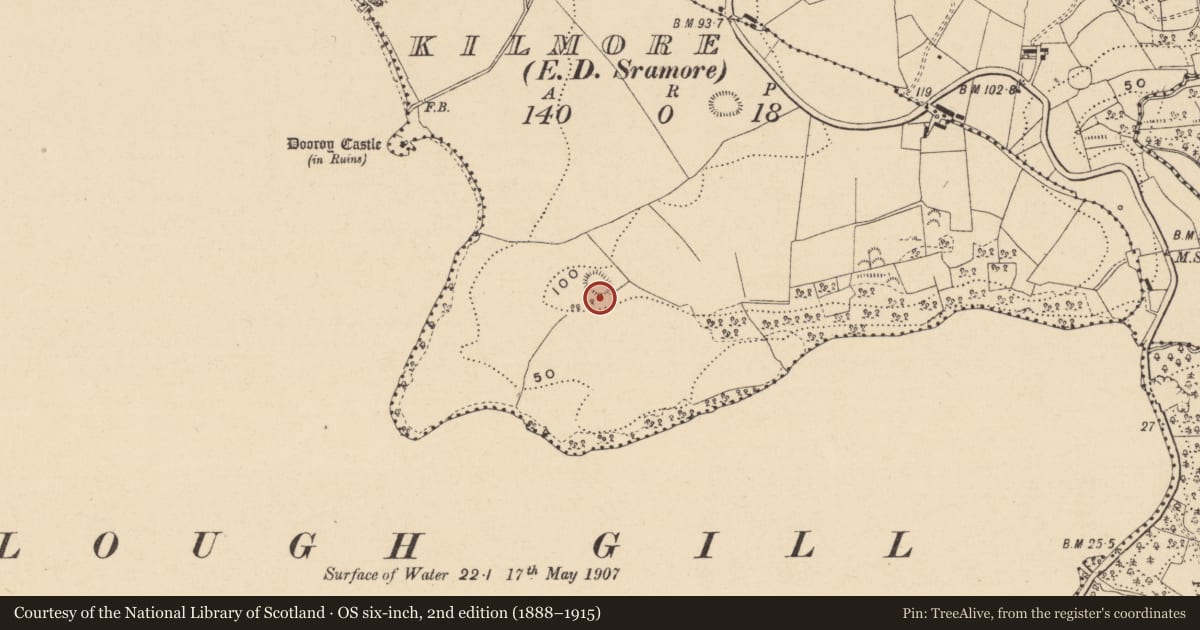 Ordnance Survey six-inch map, 2nd edition (1888–1915) covering the location of Ringfort - rath, Kilmore, County Leitrim, with a pin at the register's coordinates