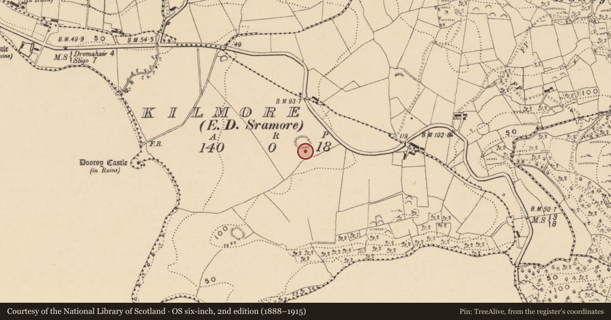 Ordnance Survey six-inch map, 2nd edition (1888–1915) covering the location of Ringfort - rath, Kilmore, County Leitrim, with a pin at the register's coordinates