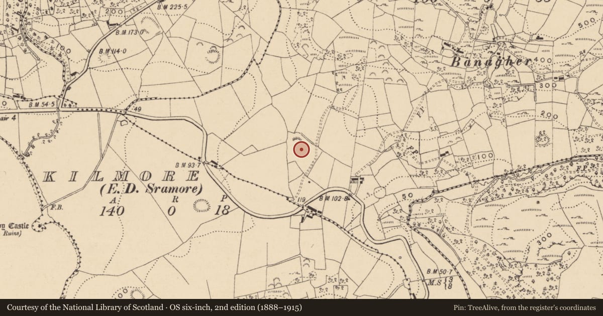 Ordnance Survey six-inch map, 2nd edition (1888–1915) covering the location of Ringfort - rath, Banagher, County Leitrim, with a pin at the register's coordinates