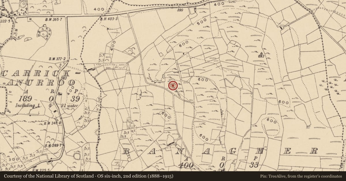 Ordnance Survey six-inch map, 2nd edition (1888–1915) covering the location of Ringfort - cashel, Banagher, County Leitrim, with a pin at the register's coordinates