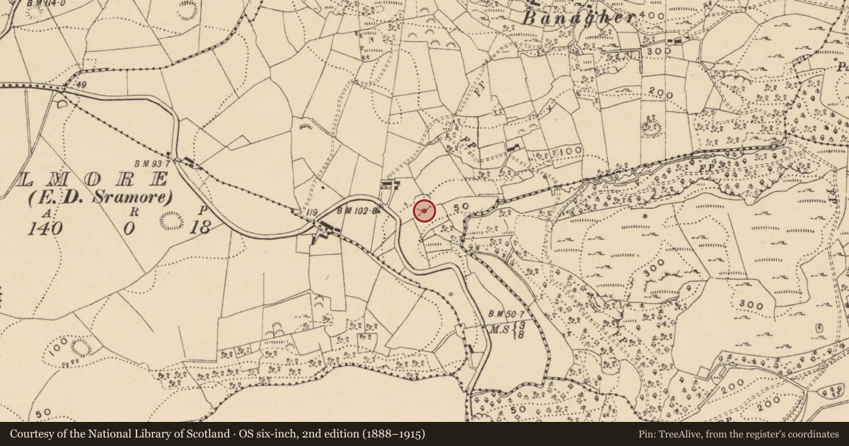 Ordnance Survey six-inch map, 2nd edition (1888–1915) covering the location of Ringfort - cashel, Banagher, County Leitrim, with a pin at the register's coordinates