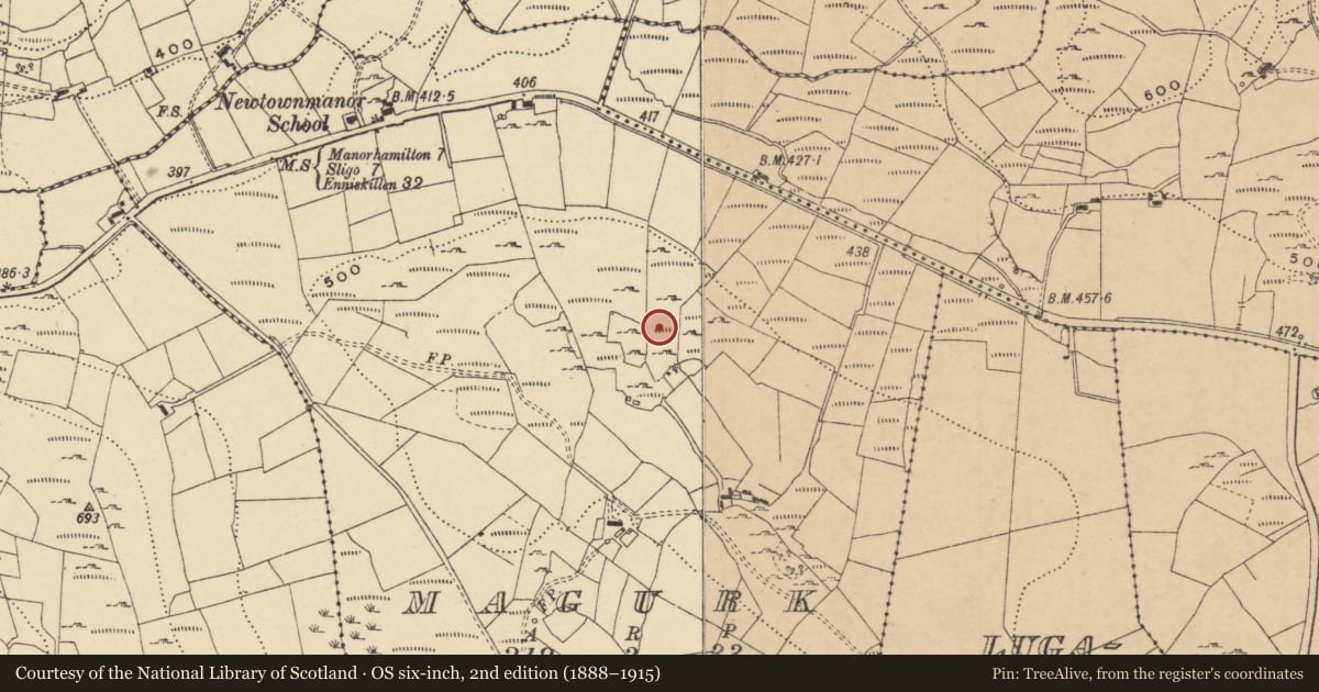 Ordnance Survey six-inch map, 2nd edition (1888–1915) covering the location of Ringfort - cashel, Magurk, County Leitrim, with a pin at the register's coordinates