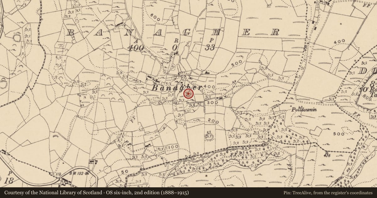 Ordnance Survey six-inch map, 2nd edition (1888–1915) covering the location of Enclosure, Banagher, County Leitrim, with a pin at the register's coordinates