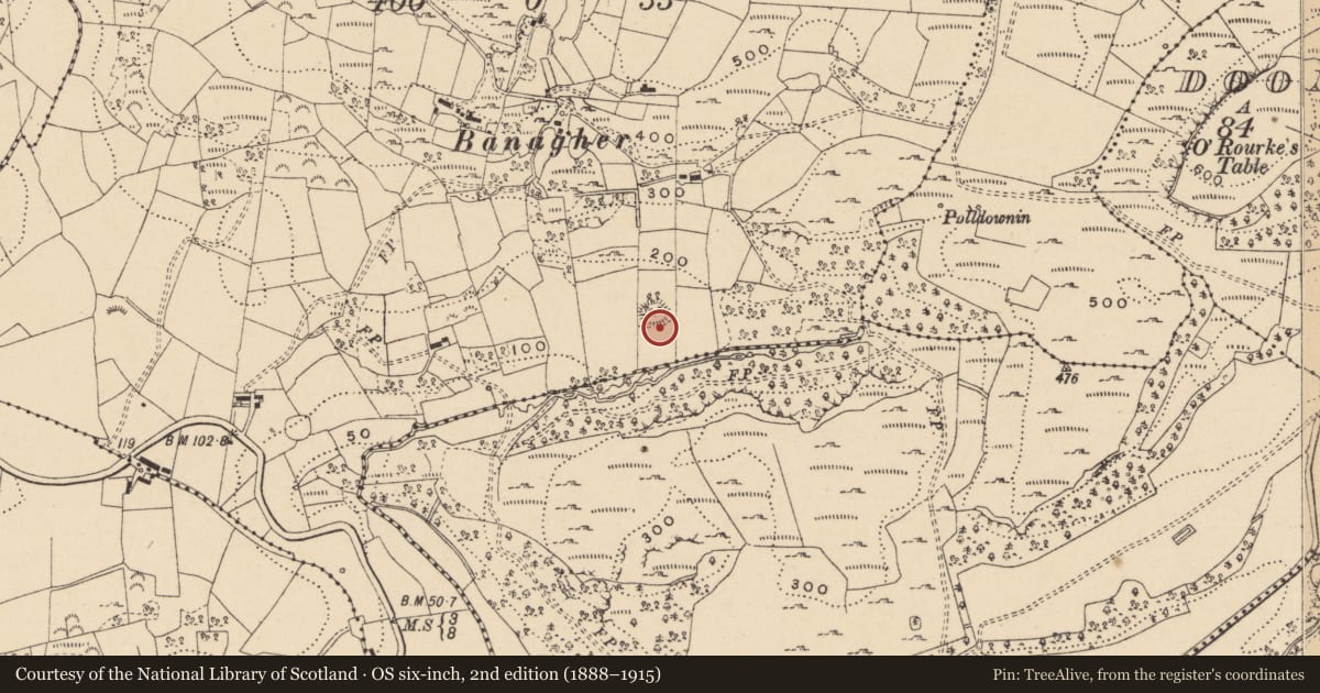Ordnance Survey six-inch map, 2nd edition (1888–1915) covering the location of Ringfort - cashel, Banagher, County Leitrim, with a pin at the register's coordinates