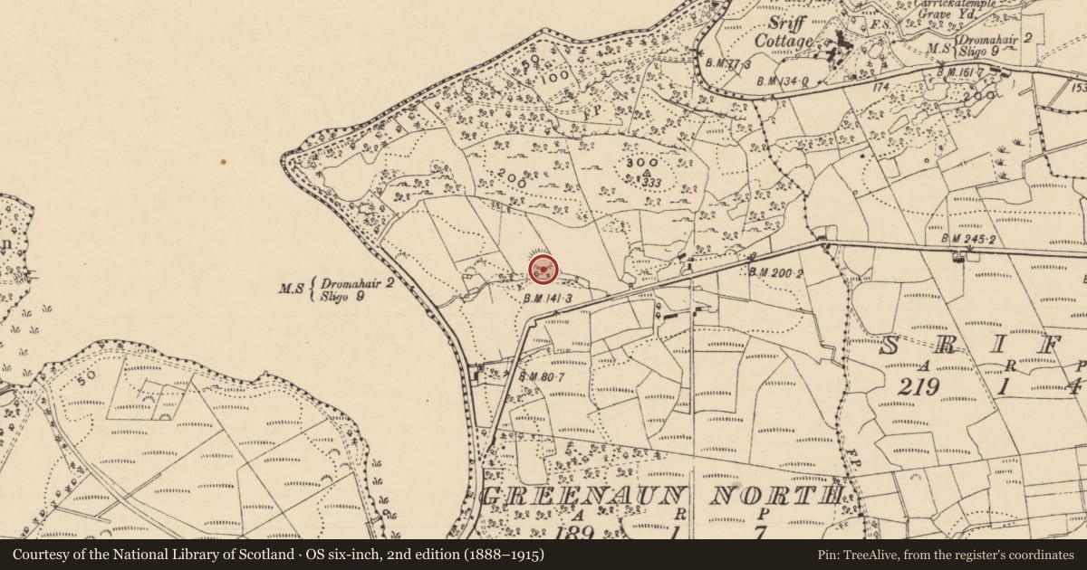 Ordnance Survey six-inch map, 2nd edition (1888–1915) covering the location of Ringfort - rath, Greenaun North, County Leitrim, with a pin at the register's coordinates