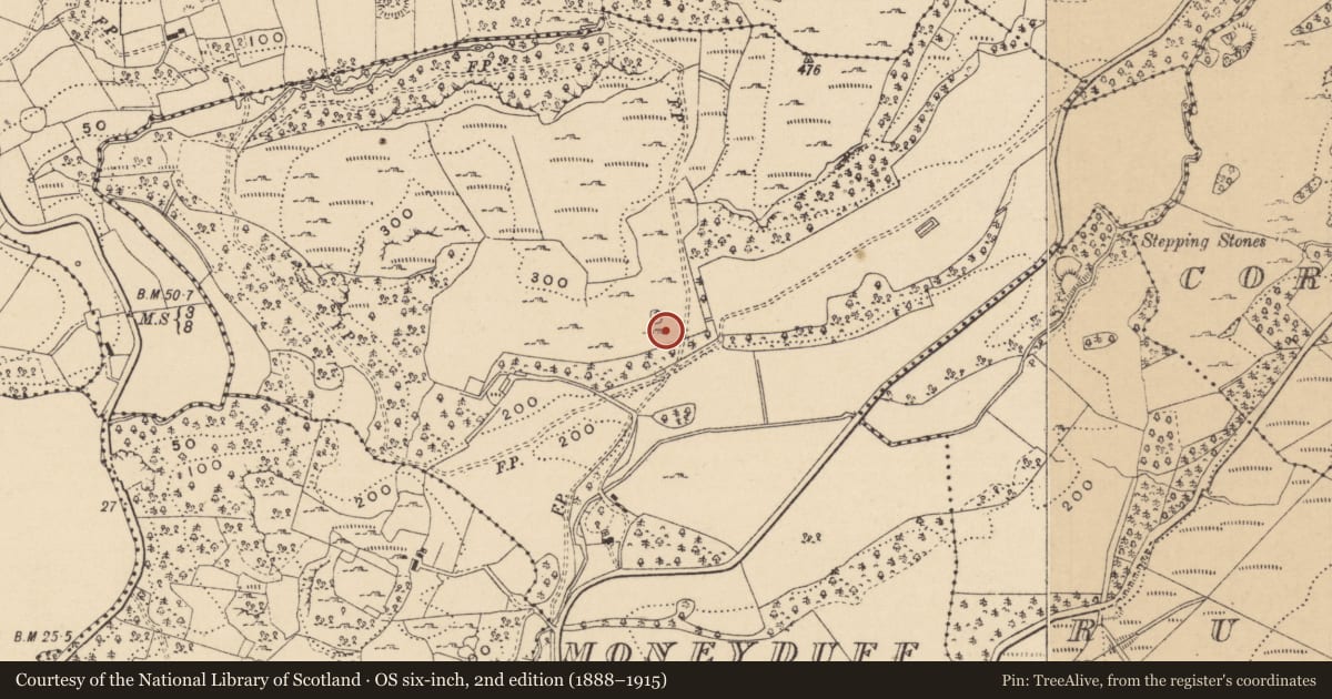 Ordnance Survey six-inch map, 2nd edition (1888–1915) covering the location of Ringfort - cashel, Moneyduff, County Leitrim, with a pin at the register's coordinates