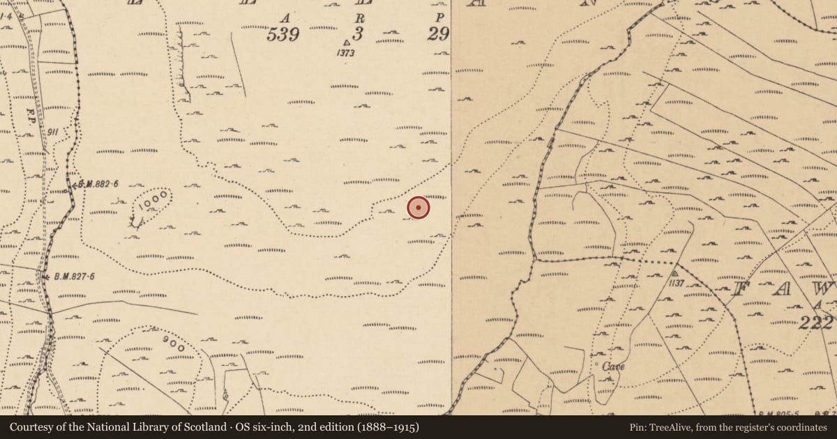 Ordnance Survey six-inch map, 2nd edition (1888–1915) covering the location of Cairn - burial cairn, Leean, County Leitrim, with a pin at the register's coordinates