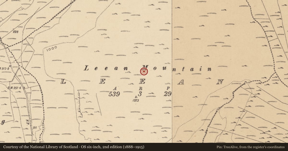 Ordnance Survey six-inch map, 2nd edition (1888–1915) covering the location of Field boundary, Leean, County Leitrim, with a pin at the register's coordinates