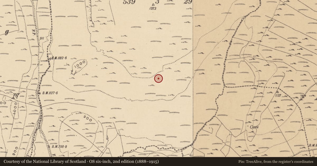 Ordnance Survey six-inch map, 2nd edition (1888–1915) covering the location of House - indeterminate date, Leean, County Leitrim, with a pin at the register's coordinates