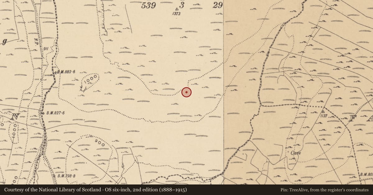Ordnance Survey six-inch map, 2nd edition (1888–1915) covering the location of House - indeterminate date, Leean, County Leitrim, with a pin at the register's coordinates
