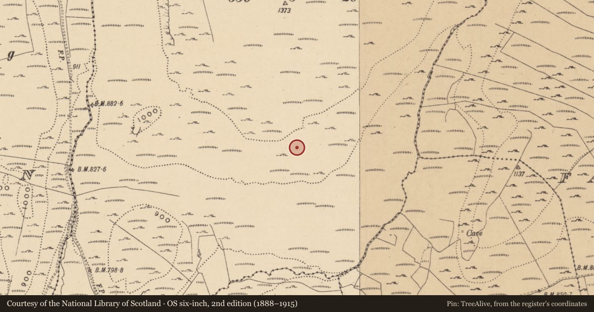Ordnance Survey six-inch map, 2nd edition (1888–1915) covering the location of House - indeterminate date, Leean, County Leitrim, with a pin at the register's coordinates