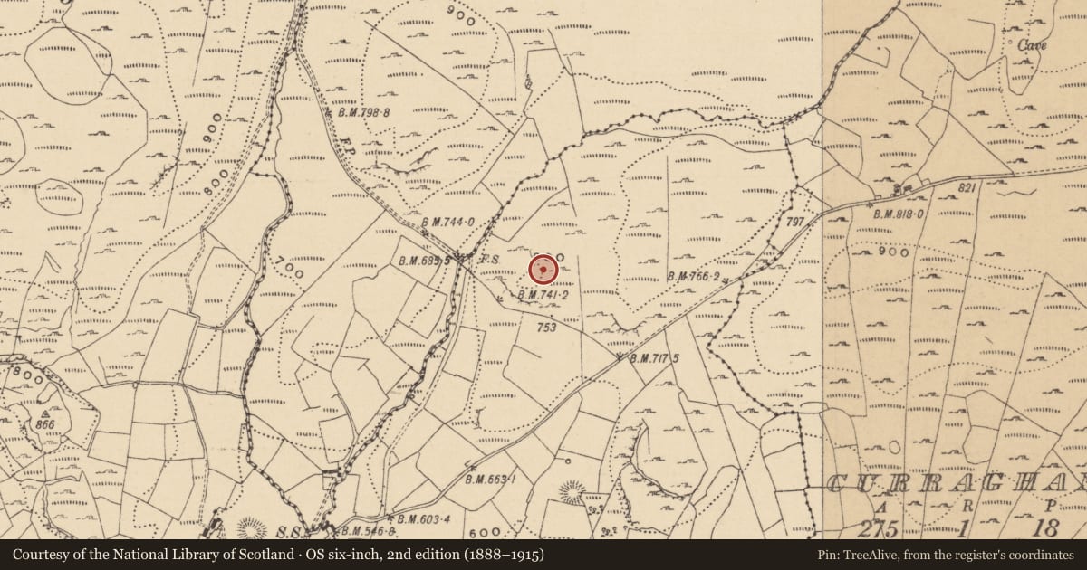Ordnance Survey six-inch map, 2nd edition (1888–1915) covering the location of Hut site, Doonkelly, County Leitrim, with a pin at the register's coordinates