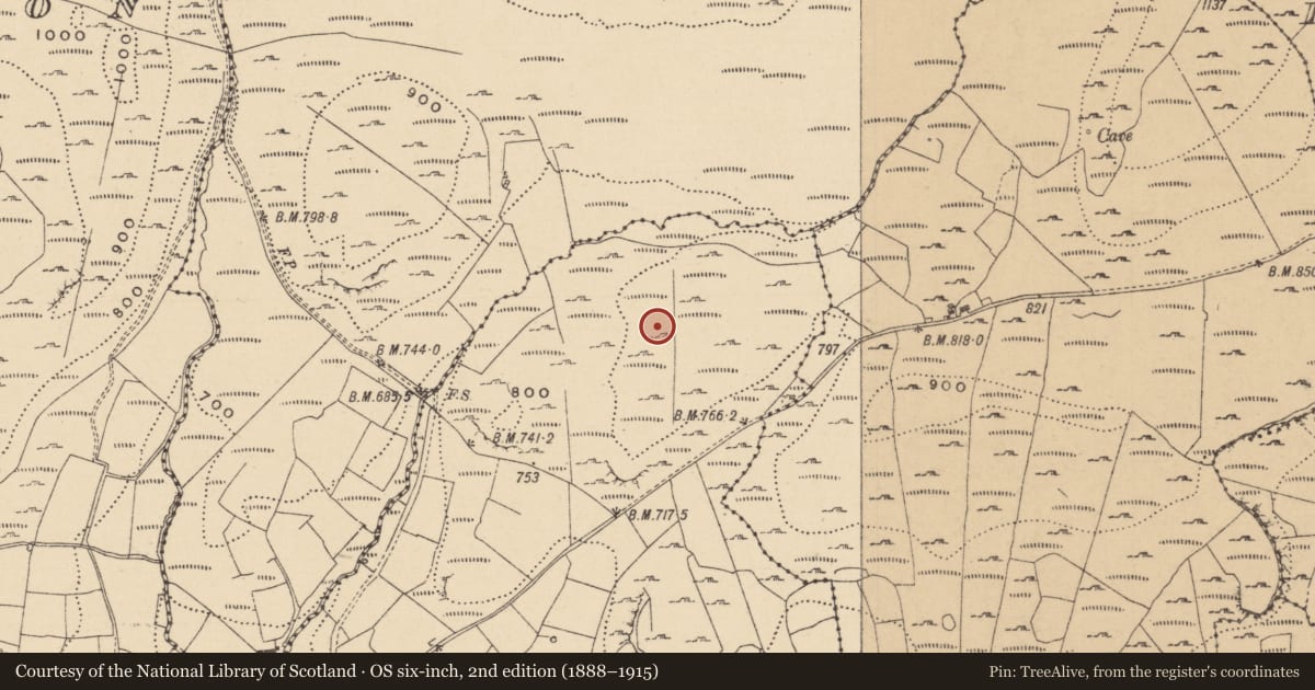 Ordnance Survey six-inch map, 2nd edition (1888–1915) covering the location of House - indeterminate date, Doonkelly, County Leitrim, with a pin at the register's coordinates