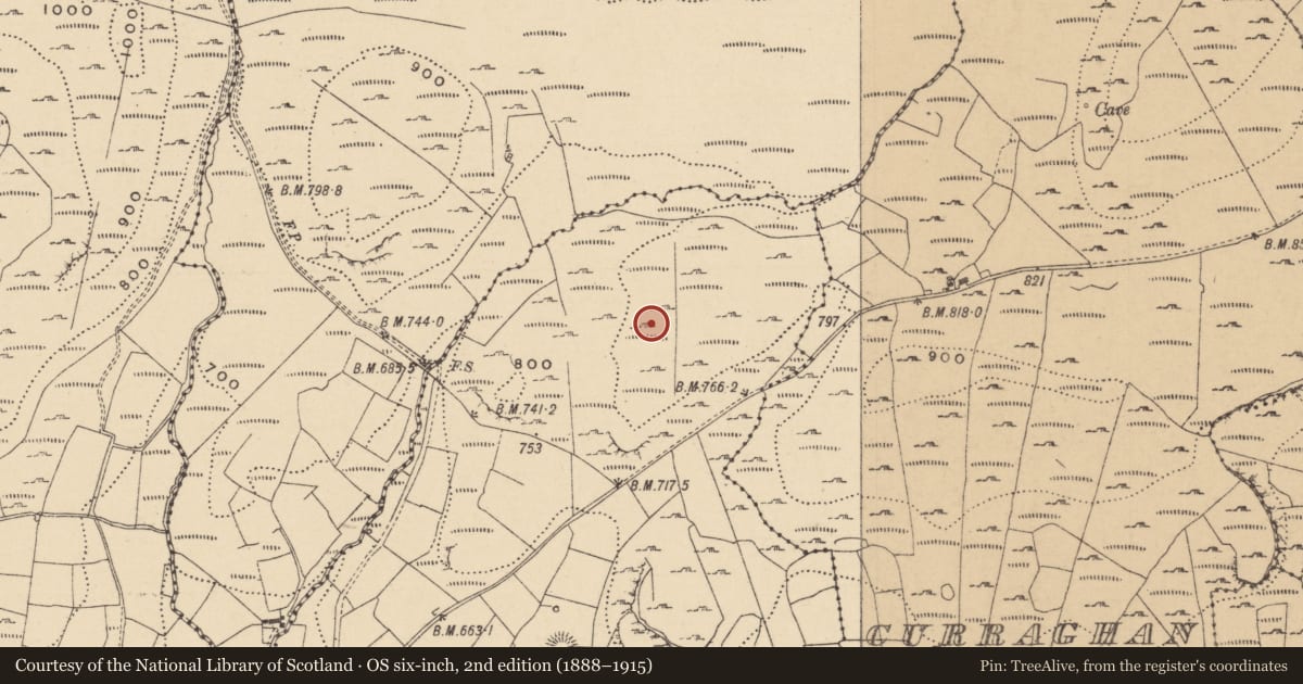 Ordnance Survey six-inch map, 2nd edition (1888–1915) covering the location of House - indeterminate date, Doonkelly, County Leitrim, with a pin at the register's coordinates
