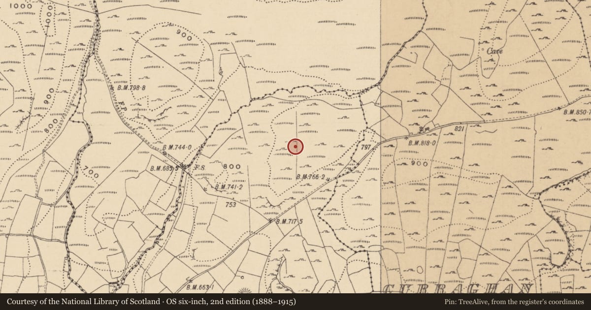 Ordnance Survey six-inch map, 2nd edition (1888–1915) covering the location of House - indeterminate date, Doonkelly, County Leitrim, with a pin at the register's coordinates