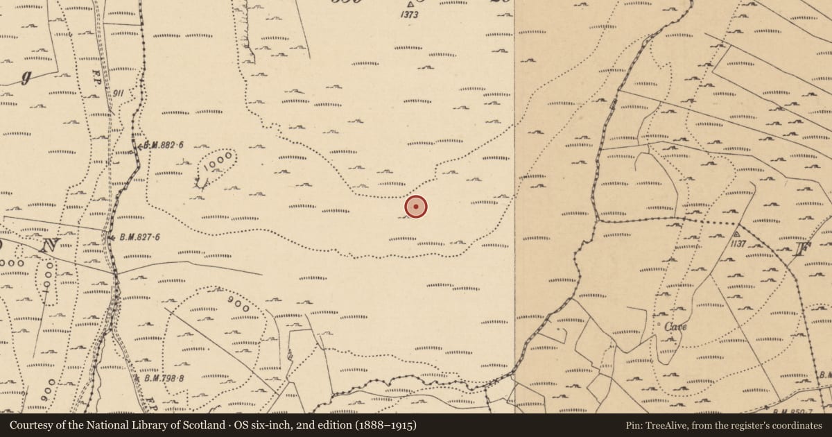 Ordnance Survey six-inch map, 2nd edition (1888–1915) covering the location of House - indeterminate date, Leean, County Leitrim, with a pin at the register's coordinates