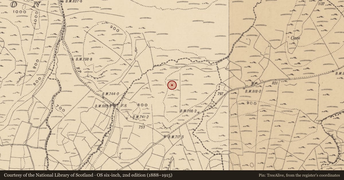 Ordnance Survey six-inch map, 2nd edition (1888–1915) covering the location of House - indeterminate date, Doonkelly, County Leitrim, with a pin at the register's coordinates