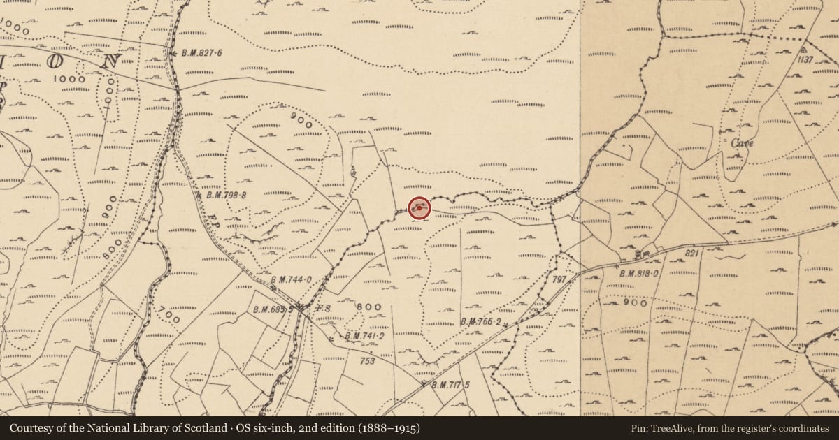 Ordnance Survey six-inch map, 2nd edition (1888–1915) covering the location of Field boundary, Doonkelly, Leean, County Leitrim, with a pin at the register's coordinates