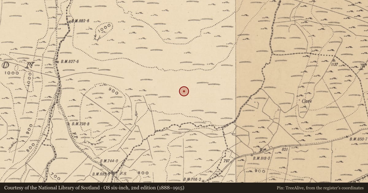 Ordnance Survey six-inch map, 2nd edition (1888–1915) covering the location of Field boundary, Leean, County Leitrim, with a pin at the register's coordinates