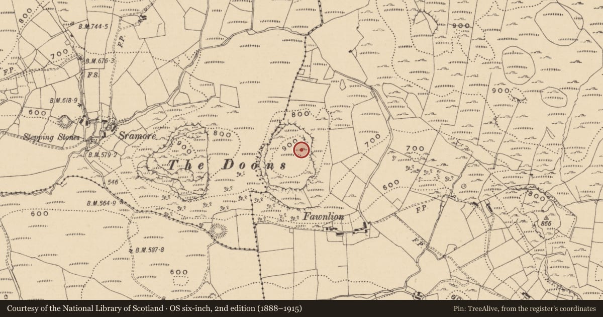 Ordnance Survey six-inch map, 2nd edition (1888–1915) covering the location of Hut site, Fawnlion, County Leitrim, with a pin at the register's coordinates