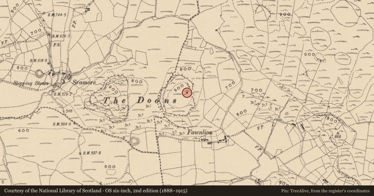 Ordnance Survey six-inch map, 2nd edition (1888–1915) covering the location of Hut site, Fawnlion, County Leitrim, with a pin at the register's coordinates