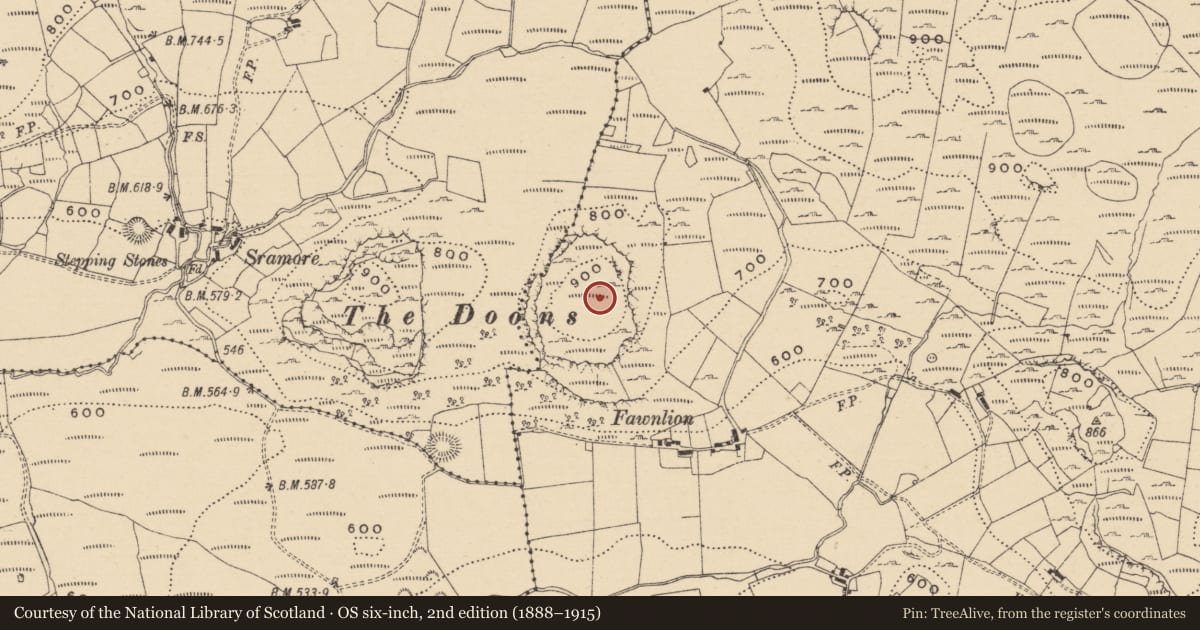 Ordnance Survey six-inch map, 2nd edition (1888–1915) covering the location of Hillfort, Fawnlion, County Leitrim, with a pin at the register's coordinates