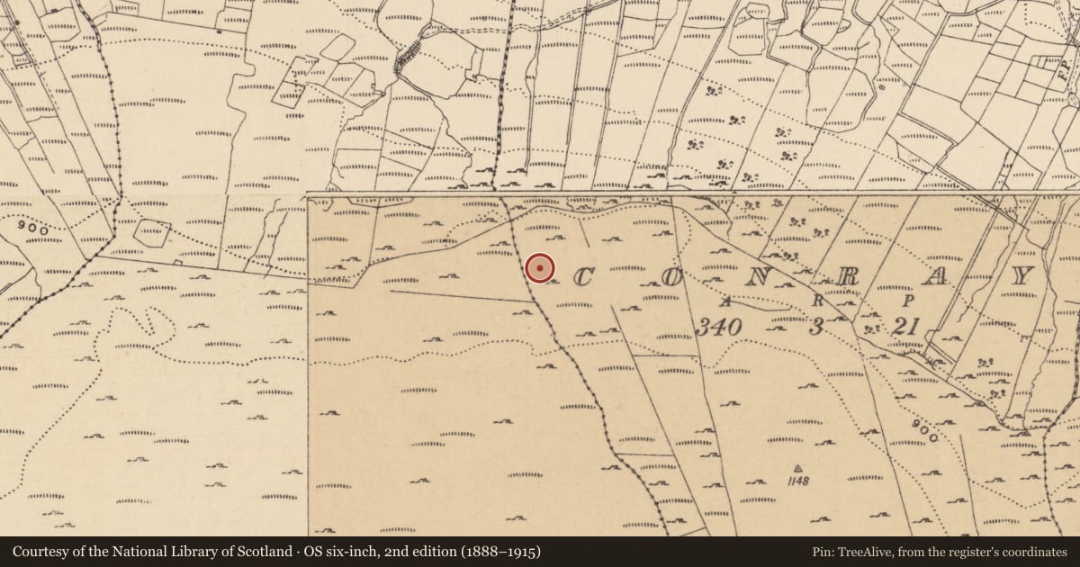 Ordnance Survey six-inch map, 2nd edition (1888–1915) covering the location of Cist, Leean, County Leitrim, with a pin at the register's coordinates