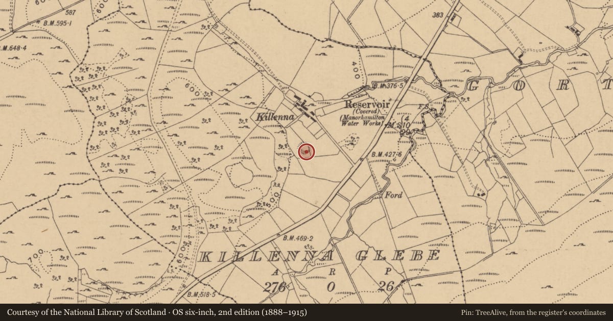 Ordnance Survey six-inch map, 2nd edition (1888–1915) covering the location of Ringfort - rath, Killenna Glebe, County Leitrim, with a pin at the register's coordinates