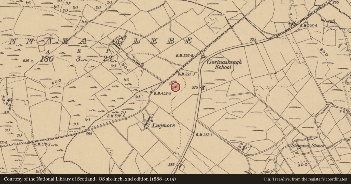Ordnance Survey six-inch map, 2nd edition (1888–1915) covering the location of Ringfort - rath, Gortnaskeagh, County Leitrim, with a pin at the register's coordinates