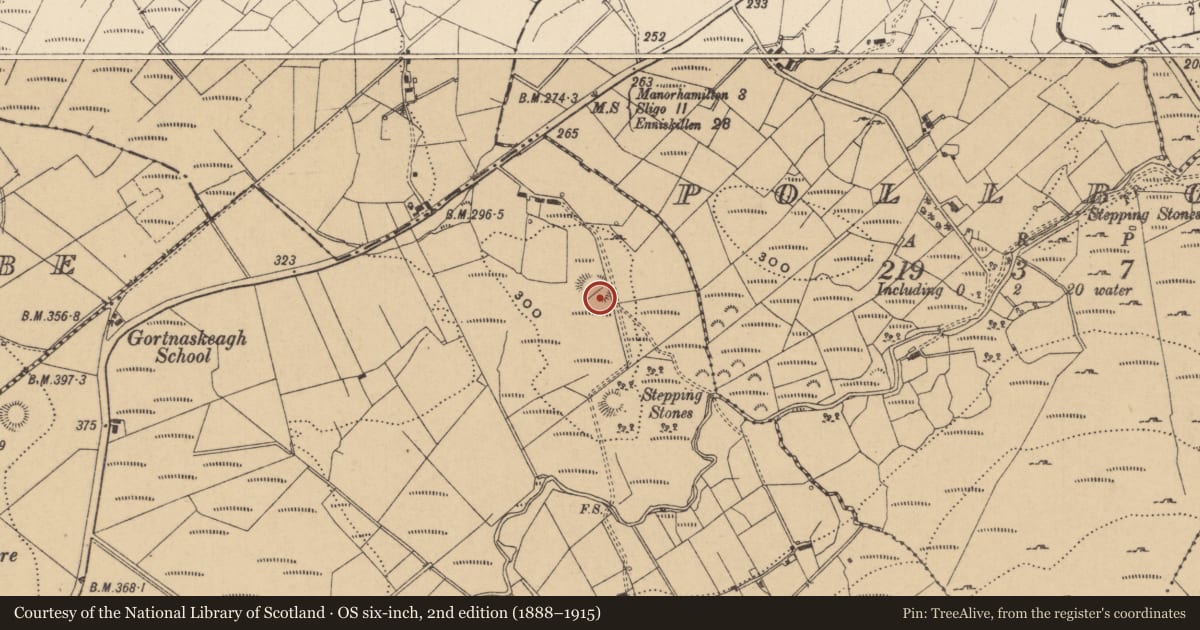 Ordnance Survey six-inch map, 2nd edition (1888–1915) covering the location of Ringfort - rath, Gortnaskeagh, County Leitrim, with a pin at the register's coordinates