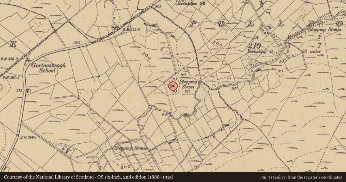 Ordnance Survey six-inch map, 2nd edition (1888–1915) covering the location of Ringfort - rath, Gortnaskeagh, County Leitrim, with a pin at the register's coordinates