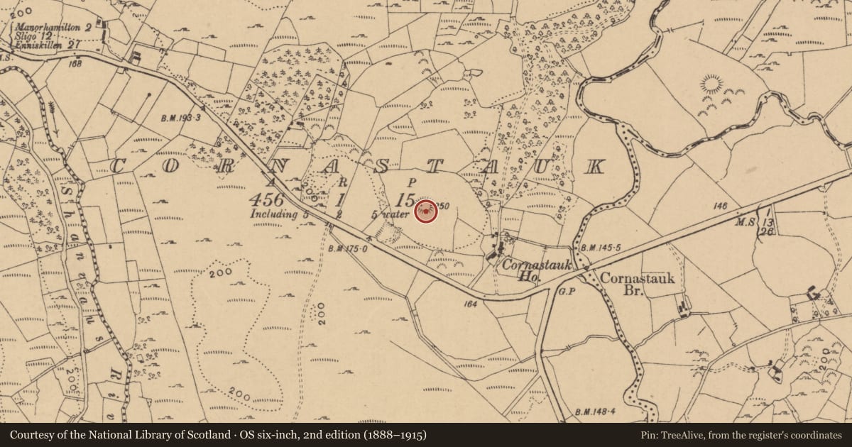 Ordnance Survey six-inch map, 2nd edition (1888–1915) covering the location of Ringfort - rath, Cornastauk, County Leitrim, with a pin at the register's coordinates