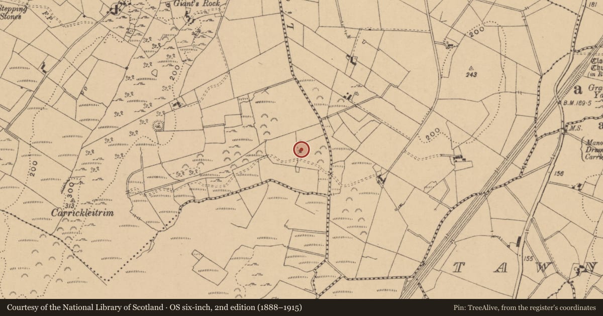 Ordnance Survey six-inch map, 2nd edition (1888–1915) covering the location of Ringfort - cashel, Carrickleitrim, County Leitrim, with a pin at the register's coordinates