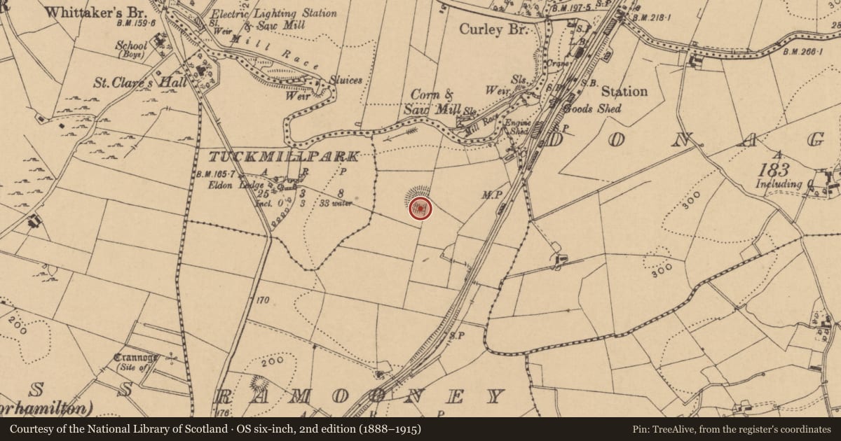 Ordnance Survey six-inch map, 2nd edition (1888–1915) covering the location of Ringfort - rath, Ramooney, County Leitrim, with a pin at the register's coordinates