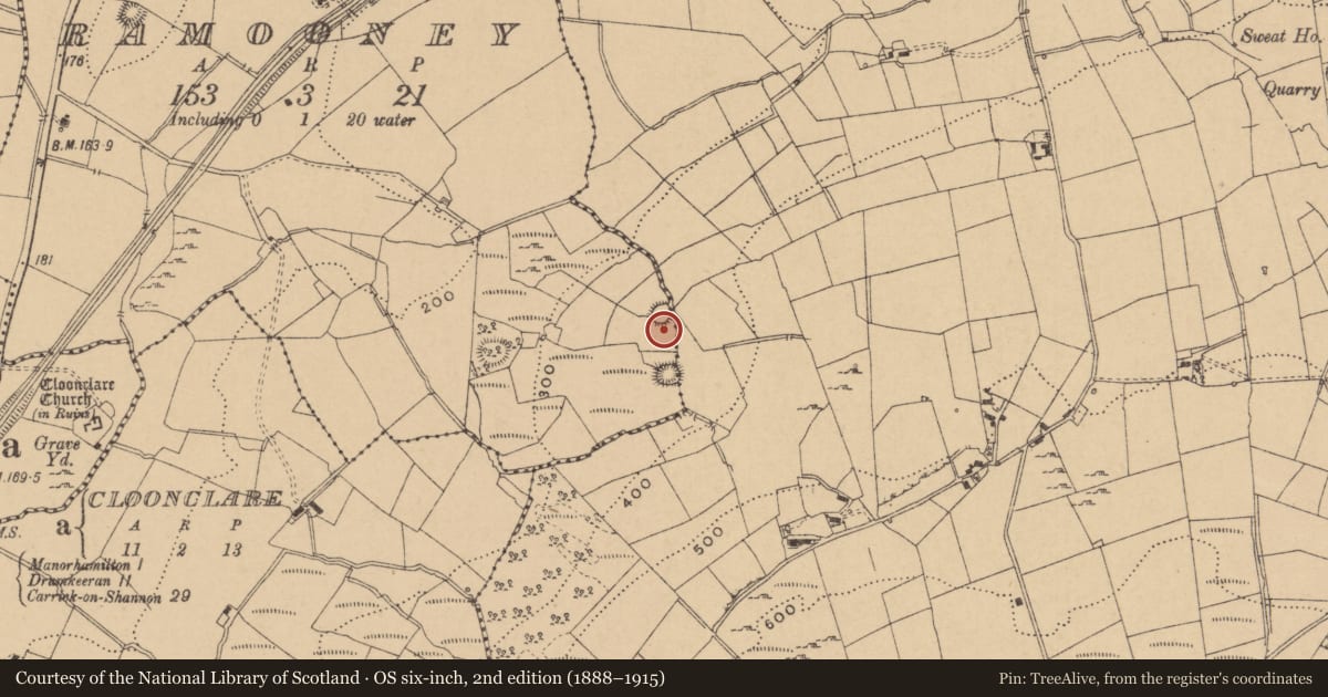 Ordnance Survey six-inch map, 2nd edition (1888–1915) covering the location of Ringfort - cashel, Ramooney, Tullyskeherny, County Leitrim, with a pin at the register's coordinates
