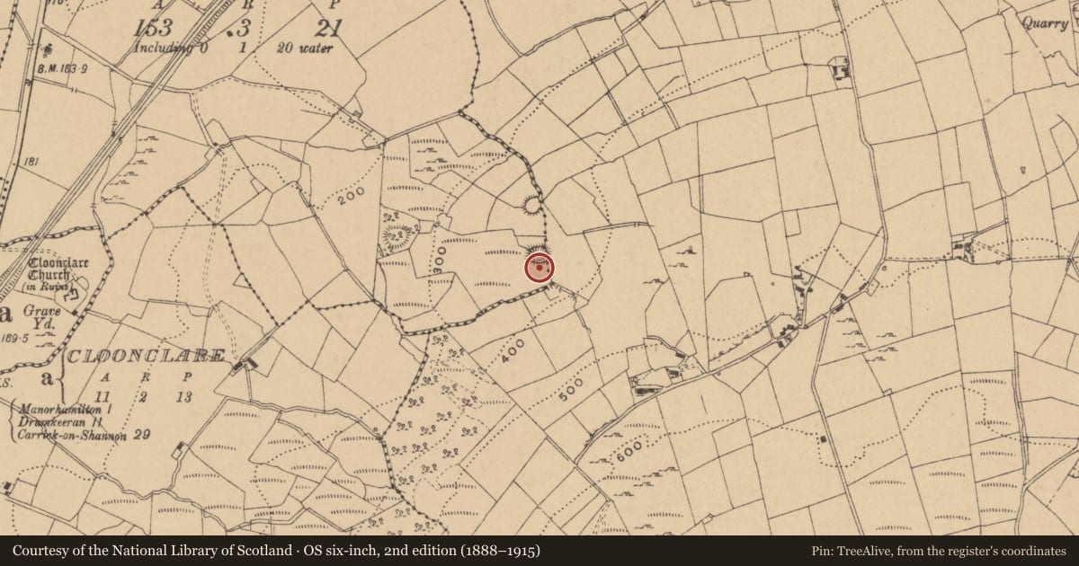 Ordnance Survey six-inch map, 2nd edition (1888–1915) covering the location of Ringfort - cashel, Tullyskeherny, Ramooney, County Leitrim, with a pin at the register's coordinates