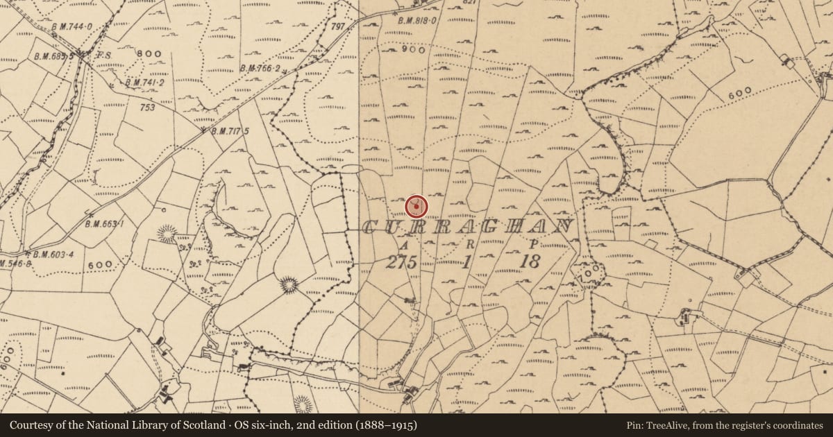 Ordnance Survey six-inch map, 2nd edition (1888–1915) covering the location of Sheepfold, Curraghan, County Leitrim, with a pin at the register's coordinates