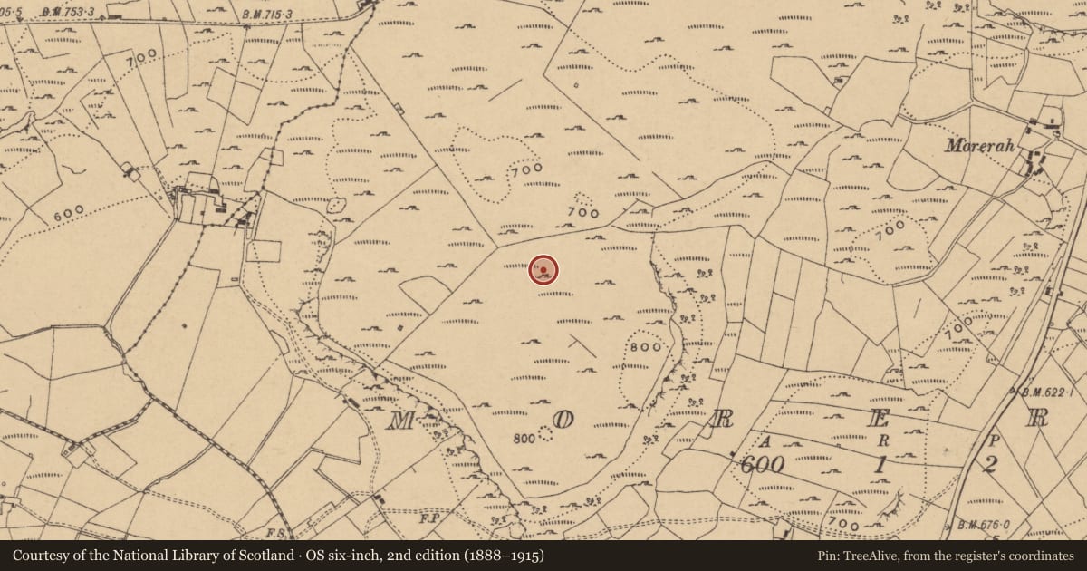 Ordnance Survey six-inch map, 2nd edition (1888–1915) covering the location of Ringfort - cashel, Morerah, County Leitrim, with a pin at the register's coordinates
