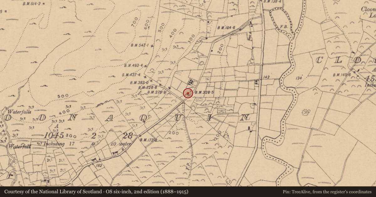 Ordnance Survey six-inch map, 2nd edition (1888–1915) covering the location of Ringfort - unclassified, Cloonaquin, County Leitrim, with a pin at the register's coordinates