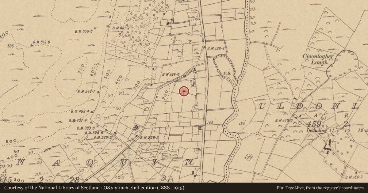 Ordnance Survey six-inch map, 2nd edition (1888–1915) covering the location of Ringfort - rath, Cloonaquin, County Leitrim, with a pin at the register's coordinates