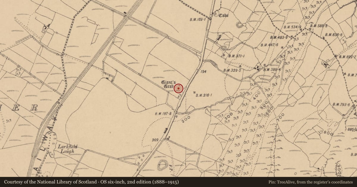 Ordnance Survey six-inch map, 2nd edition (1888–1915) covering the location of Megalithic tomb - wedge tomb, Larkfield, County Leitrim, with a pin at the register's coordinates