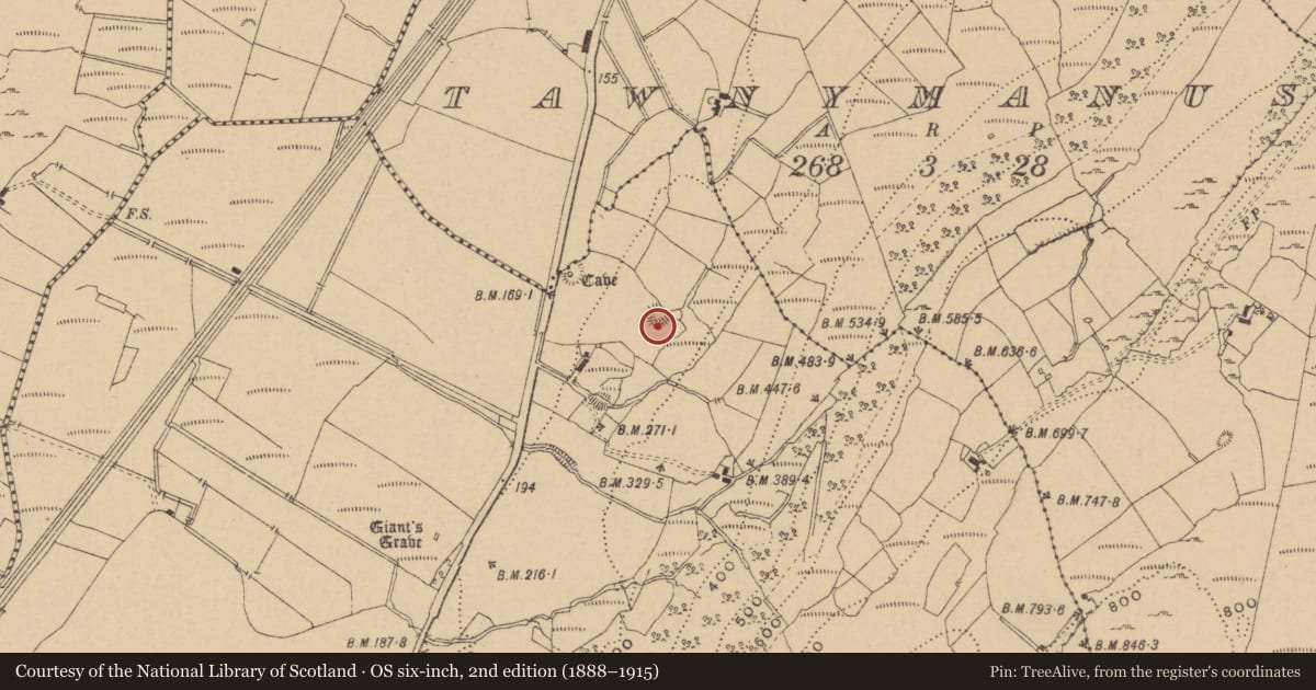 Ordnance Survey six-inch map, 2nd edition (1888–1915) covering the location of Ringfort - cashel, Larkfield, County Leitrim, with a pin at the register's coordinates