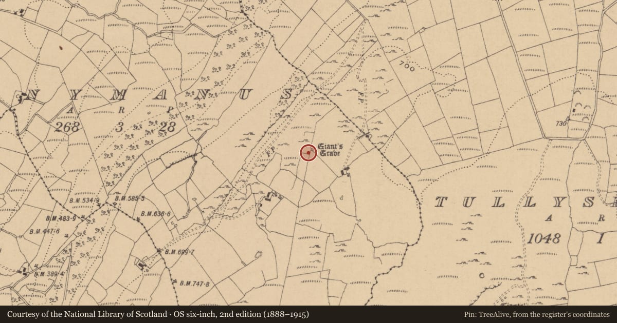 Ordnance Survey six-inch map, 2nd edition (1888–1915) covering the location of Cairn - burial cairn, Tawnymanus, County Leitrim, with a pin at the register's coordinates