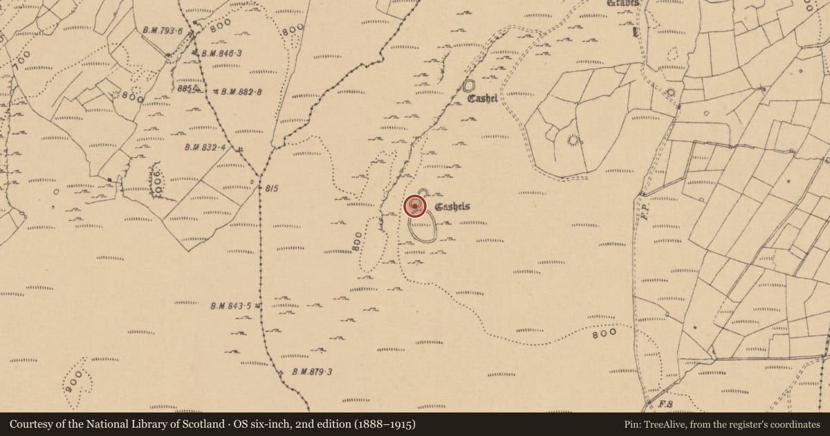 Ordnance Survey six-inch map, 2nd edition (1888–1915) covering the location of Cairn - unclassified, Tullyskeherny, County Leitrim, with a pin at the register's coordinates