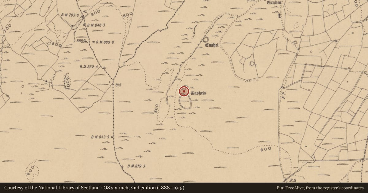 Ordnance Survey six-inch map, 2nd edition (1888–1915) covering the location of Enclosure, Tullyskeherny, County Leitrim, with a pin at the register's coordinates