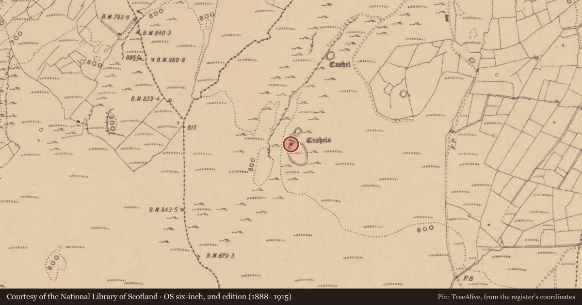 Ordnance Survey six-inch map, 2nd edition (1888–1915) covering the location of Enclosure, Tullyskeherny, County Leitrim, with a pin at the register's coordinates