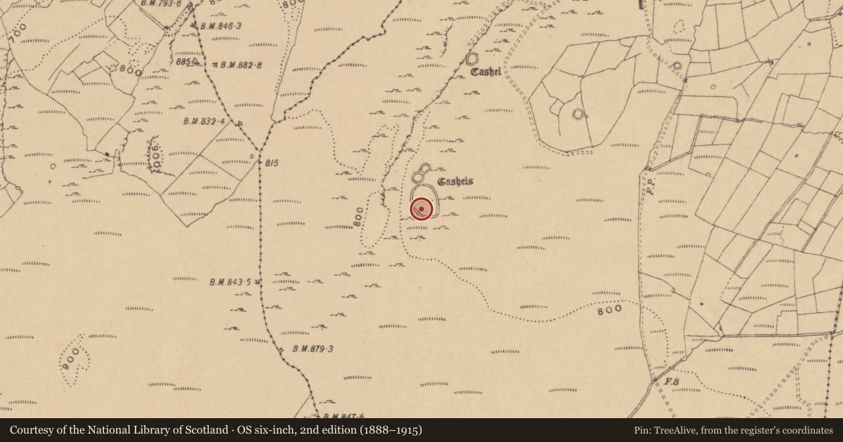 Ordnance Survey six-inch map, 2nd edition (1888–1915) covering the location of Enclosure, Tullyskeherny, County Leitrim, with a pin at the register's coordinates